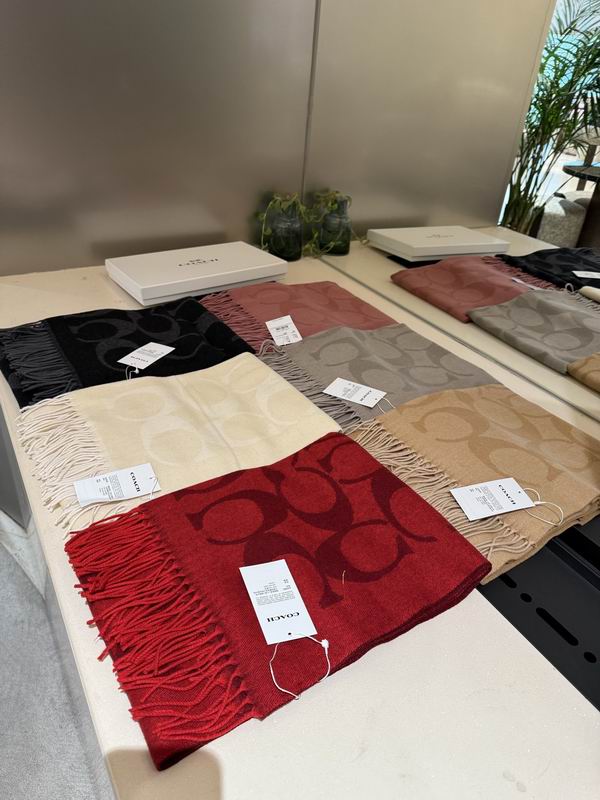 Coach Scarf 195X53cm E112836